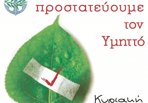 ymittos2