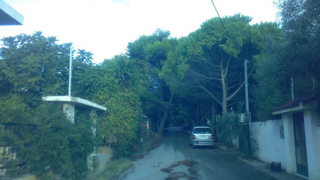 IMG_20150926_175822
