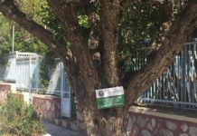 Λιομαζώματα και πάλι στο Δήμο Αλίμου