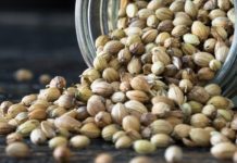 Το «κλειδί» της υγείας και της ομορφιάς στους σπόρους του κόλιαντρου