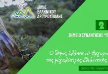 Βουνό και θάλασσα… με χιλιάδες εθελοντές σε μια εκστρατεία με πίκεντρο τον Δήμο Ελληνικού/ Αργυρούπολης