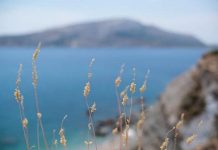 Βουτιές δροσιάς, στις “κρυμμένες” παραλίες “διαμάντια” της Αθηναϊκής Ριβιέρας