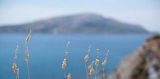 Βουτιές δροσιάς, στις “κρυμμένες” παραλίες “διαμάντια” της Αθηναϊκής Ριβιέρας