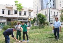 Δενδροφύτευση στη Τερψιθέα και στο Πάρκο ΙΚΑ στον Πειραιά