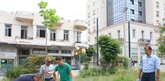 Δενδροφύτευση στη Τερψιθέα και στο Πάρκο ΙΚΑ στον Πειραιά