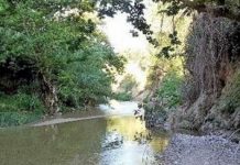 River Party για την άγνωστη πανίδα του Κηφισού