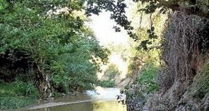 River Party για την άγνωστη πανίδα του Κηφισού