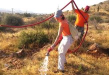 Κυριακάτικη εξόρμηση στο βουνό της Αργυρούπολης για πότισμα μικρών δένδρων