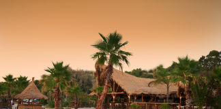 Στάσεις για δροσιά και ποτό στην Αττική Ακτή . Beach bars με ατμόσφαιρα και χρώμα