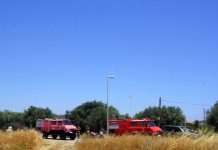 Πυρκαγιά κοντά σε σπίτια στην Ανάβυσσο Αττικής (foto&video)