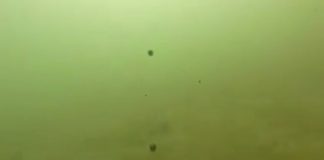 Video σοκ από την παραλία της Γλυφάδας. Σωματίδια μαζούτ κατακλύζουν τον βυθό της 1ης μαρίνας