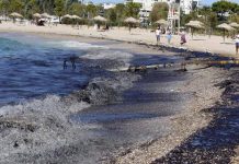 “Μαύρισε” η Αττική Ακτή. Έκκληση από τον Γιώργο Παπανικολάου για Γλυφάδα. Drome σε Βουλιαγμένη , Βούλα, Βάρκιζα