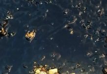 Ολονύχτια αυτοψία με σκάφη στις παραλίες Βουλιαγμένης, Βούλας, Βάρκιζας . 1500 μέτρα πλωτά φράγματα για την πετρελεοκηλίδα