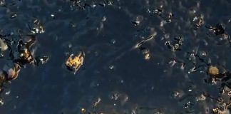 Ολονύχτια αυτοψία με σκάφη στις παραλίες Βουλιαγμένης, Βούλας, Βάρκιζας . 1500 μέτρα πλωτά φράγματα για την πετρελεοκηλίδα