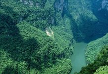 Οι “επενδύσεις” ….και ο εθνικός δρυμμός του Αμαζόνιου