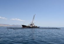 Βελτιώνεται η κατάσταση από την ρύπανση στο Σαρωνικό. Τι λέει η τελευταία αναφορά του Υπ.Ναυτιλίας για Π. Φάληρο, Άλιμο, Γλυφάδα, Βούλα , Βουλιαγμένη κ.α