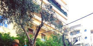 Λιομαζώματα στον Άλιμο