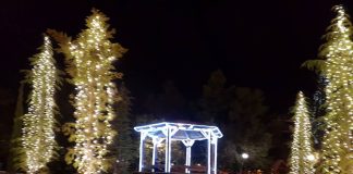 Στα λευκά στολίστηκε το Ελληνικό – Αργυρούπολη για τις γιορτές . Όλο το πρόγραμμα των εκδηλώσεων