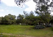 Ιαματική πηγή στη Γλυφάδα. Αναγνωρίστηκε επίσημα στην Αιξωνή με “βούλα” του Υπ. Τουρισμού (φωτό)