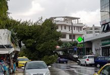 Πτώση αιωνόβιου δέντρου στη Βούλα