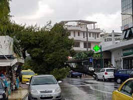 Πτώση αιωνόβιου δέντρου στη Βούλα