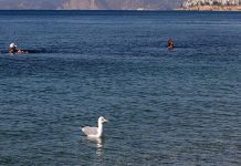 Καθαρές και ασφαλείς οι ακτές του Σαρωνικού σύμφωνα με το ΕΛΚΕΘΕ. Άρση όλων των απαγορεύσεων