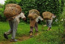Η παγκόσμια επιχείρηση καταναγκαστικής εργασίας