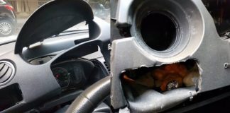 “Τσακώσανε” σπείρα που διακινούσε ναρκωτικά σε Άλιμο, Π. Φάληρο , Ν. Σμύρνη κ.α . Πως δρούσαν και πως τους πέρασε χειροπέδες η ΕΛΑΣ