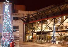 To δένδρο της αγάπης και της προσφοράς φωτίζει το Παλαιό Φάληρο