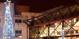 To δένδρο της αγάπης και της προσφοράς φωτίζει το Παλαιό Φάληρο