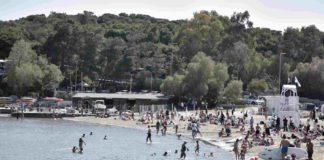 Δάσος της Φασκομηλιάς: Το άγνωστο μυστικό στη Βουλιαγμένη