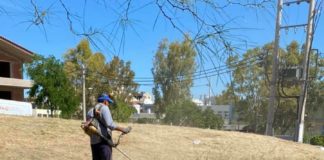 Ξεκίνησαν οι εργασίες αποψίλωσης ξερών χόρτων σε κοινόχρηστους χώρους στου Δήμου Αλίμου