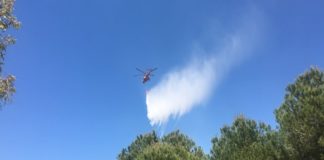 Φωτιά σε υπαίθριο χώρο στην Αργυρούπολη