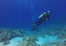 Απογοήτευση των επαγγελματιών των καταδυτικών υπηρεσιών. Μιλούν για  οικονομική καταστροφή των καταδυτικών επιχειρήσεων