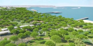 Τα σχέδια του Ρέντσο Πιάνο για το Οικολογικό Πάρκο στο Φάληρο. Εγκρίθηκαν 200 εκατ. ευρώ (φωτό)