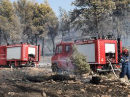 Μεγάλη πυρκαγιά στην Κερατέα. Προληπτική εκκένωση της περιοχής