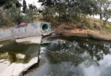 Για την μόλυνση στο ρέμα των Τραχώνων