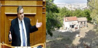 Την άμεση λειτουργία του Δασαρχείου και του Δασονομείου Υμηττού, ζητά ο Βουλευτής Β. Σπανάκης