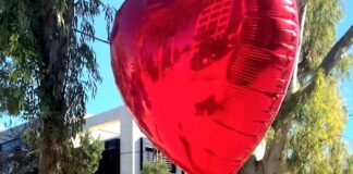 Ο Δρόμος των Ερωτευμένων βρίσκεται στη Γλυφάδα ! Ο Δρόμος των Ερωτευμένων βρίσκεται στη Γλυφάδα !