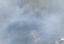 Λεπτό προς λεπτό το χρονικό της πυρκαγιάς από την Α. Γλυφάδα στη Βούλα – Τι καταγράφει ο Δήμος Βούλας Βάρης Βουλιαγμένης -Γιατί μιλάει για μη έγκαιρη αντιμετώπιση της φωτιάς Λεπτό προς λεπτό το χρονικό της πυρκαγιάς από την Α. Γλυφάδα στη Βούλα – Τι καταγράφει ο Δήμος Βούλας Βάρης Βουλιαγμένης -Γιατί μιλάει για μη έγκαιρη αντιμετώπιση της φωτιάς