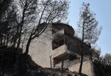 Τι άφησε πίσω της η φωτιά στη Βούλα (φωτό) Τι άφησε πίσω της η φωτιά στη Βούλα (φωτό)