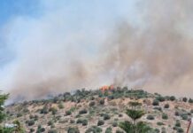 Πυρκαγιά στο Πουρνάρι στη Γλυφάδα – 10 οχήματα της πυροβεστικής επιτόπου