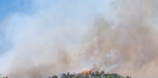 Πυρκαγιά στο Πουρνάρι στη Γλυφάδα – 10 οχήματα της πυροβεστικής επιτόπου