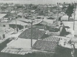 Αναβάθμιση-ανάπλαση στα προσφυγικά Μοσχάτου -Ταύρου – Τι προβλέπει το σχέδιο– 4.831.484,78 ο προϋπολογισμός Αναβάθμιση-ανάπλαση στα προσφυγικά Μοσχάτου -Ταύρου – Τι προβλέπει το σχέδιο– 4.831.484,78 ο προϋπολογισμός