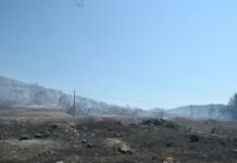 Πως και γιατί έγιναν στάχτη 34.724 στρέμματα σε Λαγονήσι-Σαρωνίδα-Ανάβυσσο Πως και γιατί έγιναν στάχτη 34.724 στρέμματα σε Λαγονήσι-Σαρωνίδα-Ανάβυσσο