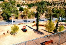 Το πιο “αγαπησιάρικο” πάρκο σκύλων βρίσκεται στη Γλυφάδα! Το πιο αγαπησιάρικο πάρκο σκύλων βρίσκεται στη Γλυφάδα!